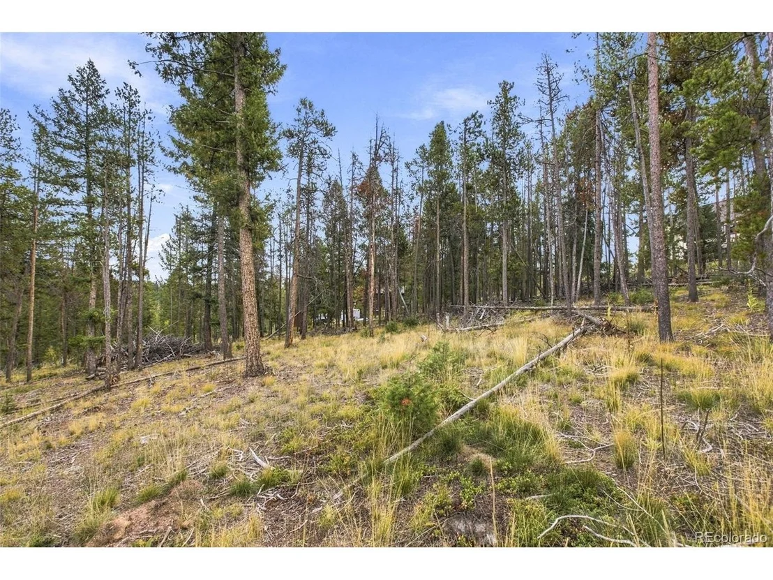 Photo of 27687 Pine Grove Trl