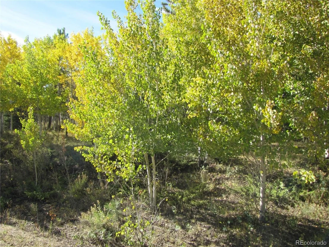 Photo of 699 Campfire Rd