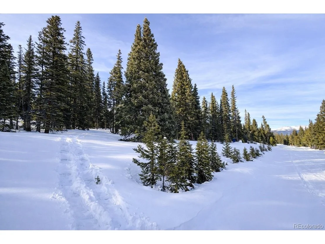 Photo of 163 Prunes Pl