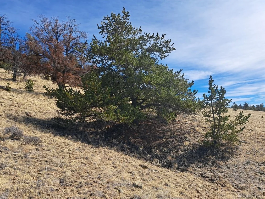 Photo of 369 Summit Rd