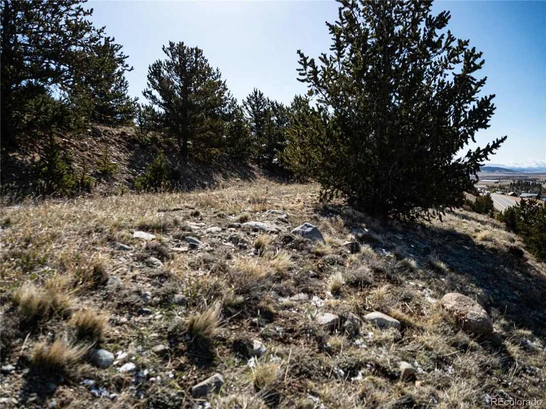 Photo of 39 Platte View Dr