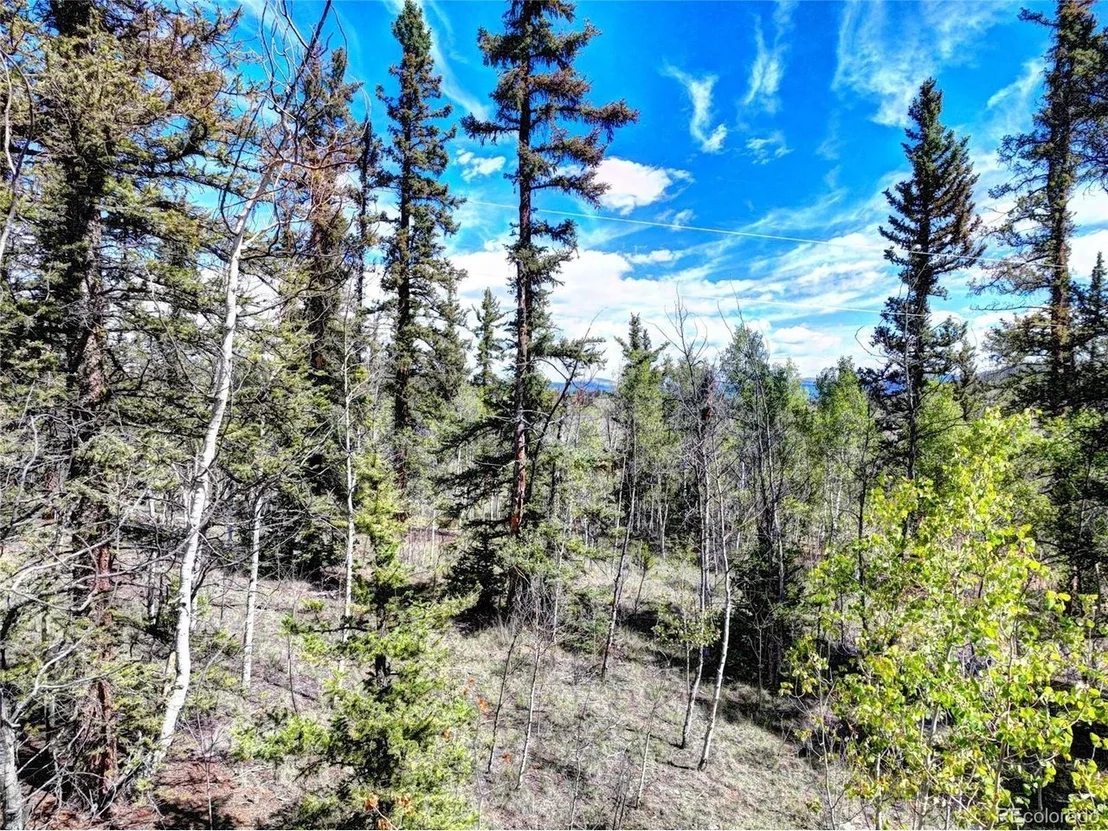 Photo of 75 Swiggler Rd