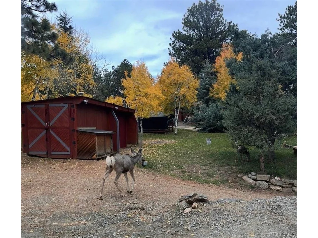 Photo of 280 Bunny Rd