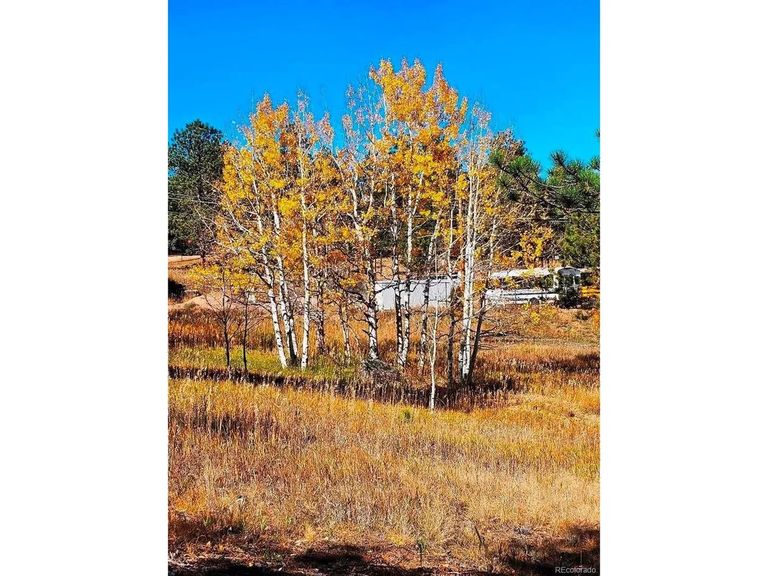 Photo of 1504 County Road 43