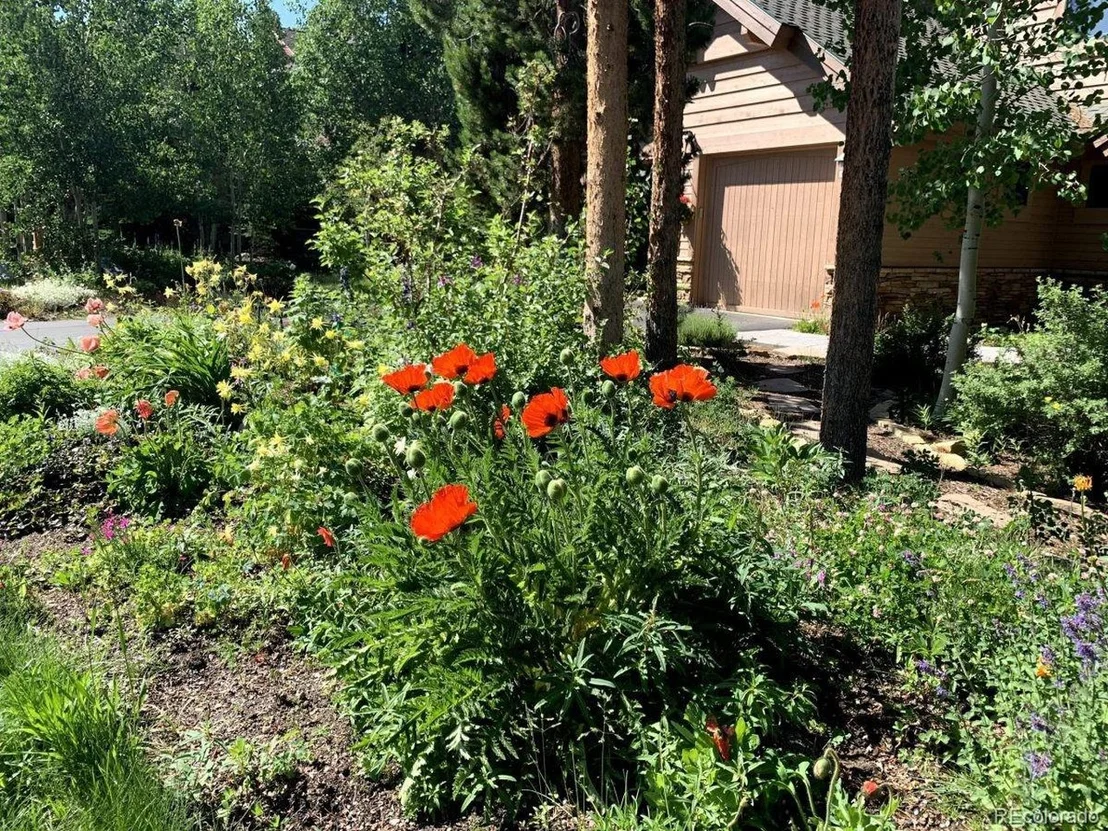 Photo of 181 Rose Crown Cir