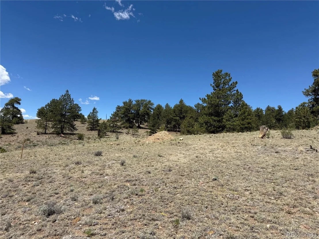 Photo of 595 Bridle Path