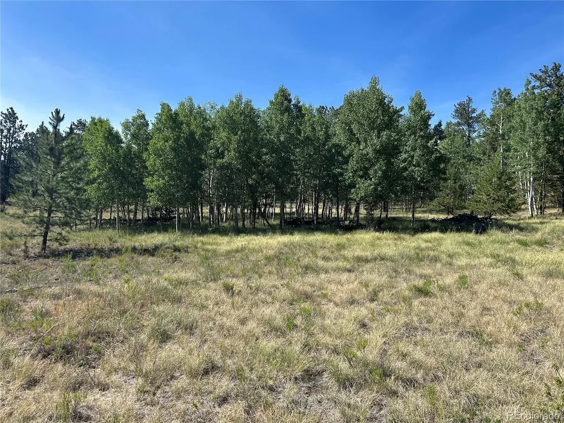 Photo of 565 Hayhook Way