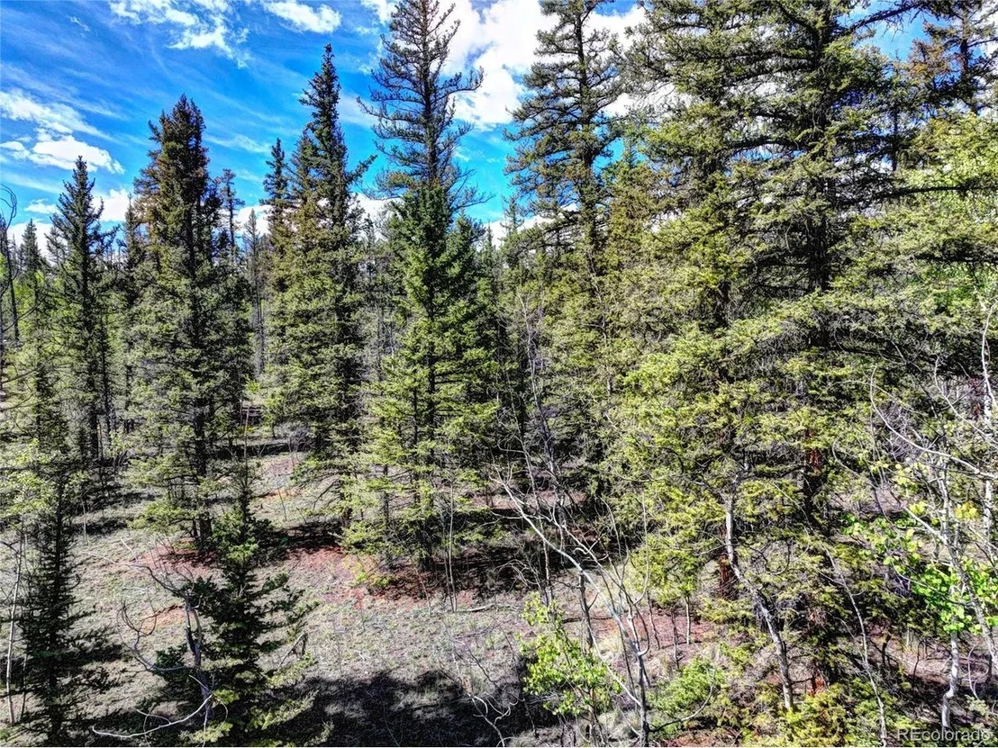 Photo of 75 Swiggler Rd