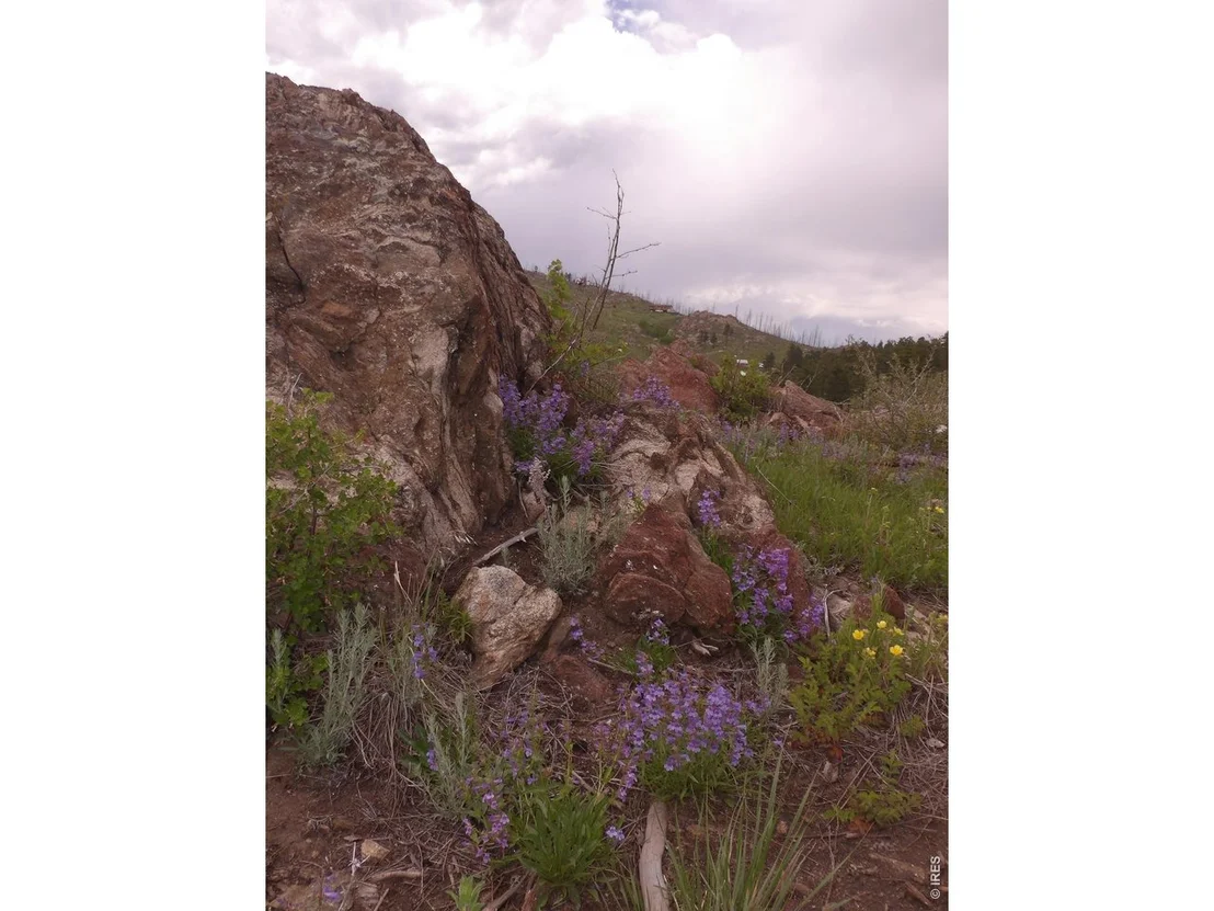 Photo of 3434 Davis Ranch Rd