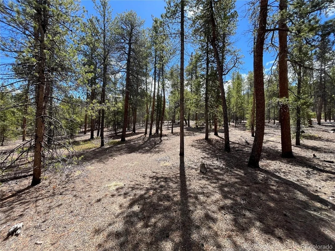 Photo of 1013 Sequoia Dr