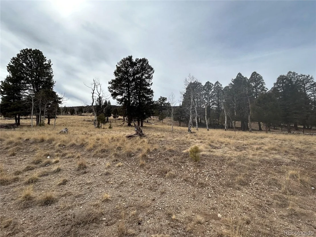 Photo of 1421 Pitchfork Rd
