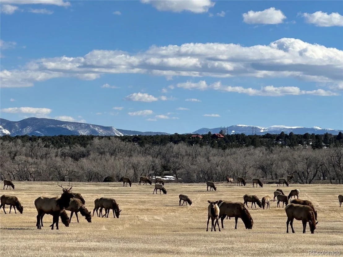 Photo of 16103 US Highway 285
