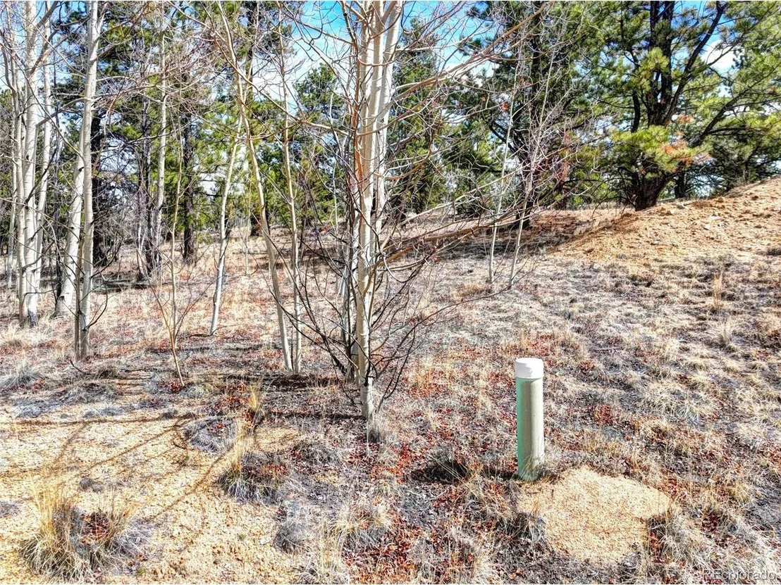 Photo of 101 Patch Ct