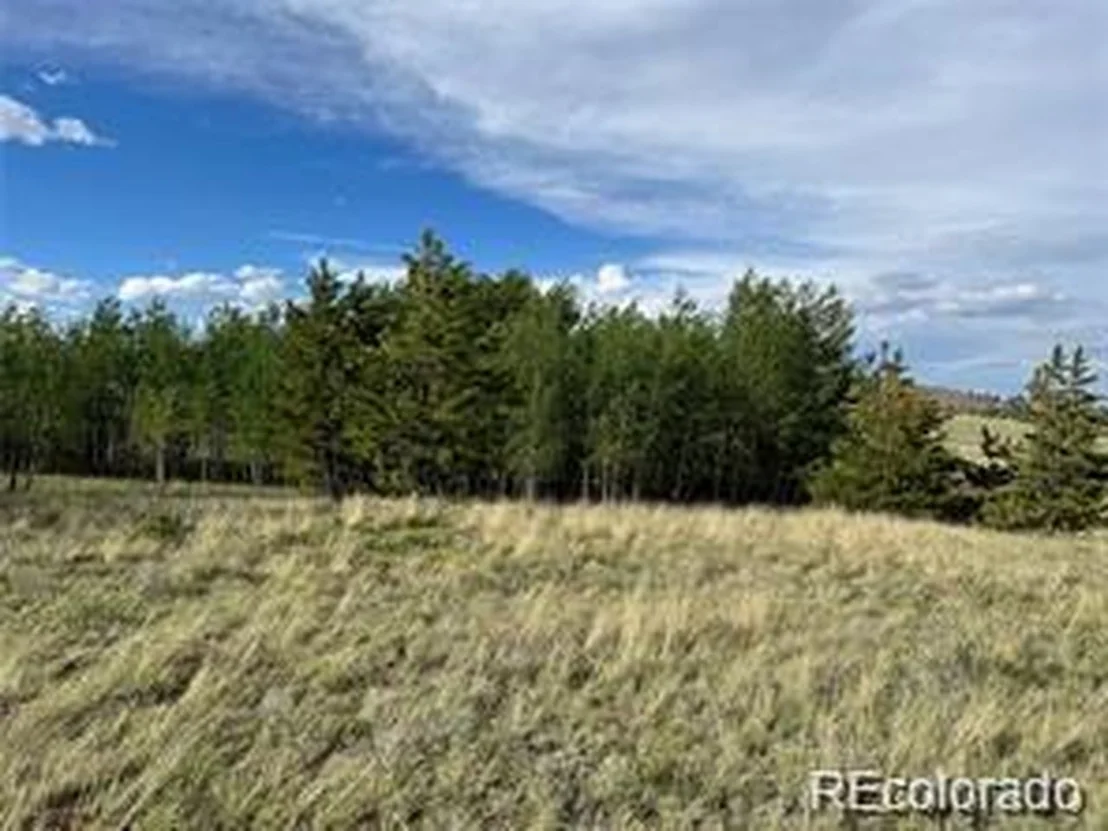 Photo of 1599 Campfire Rd