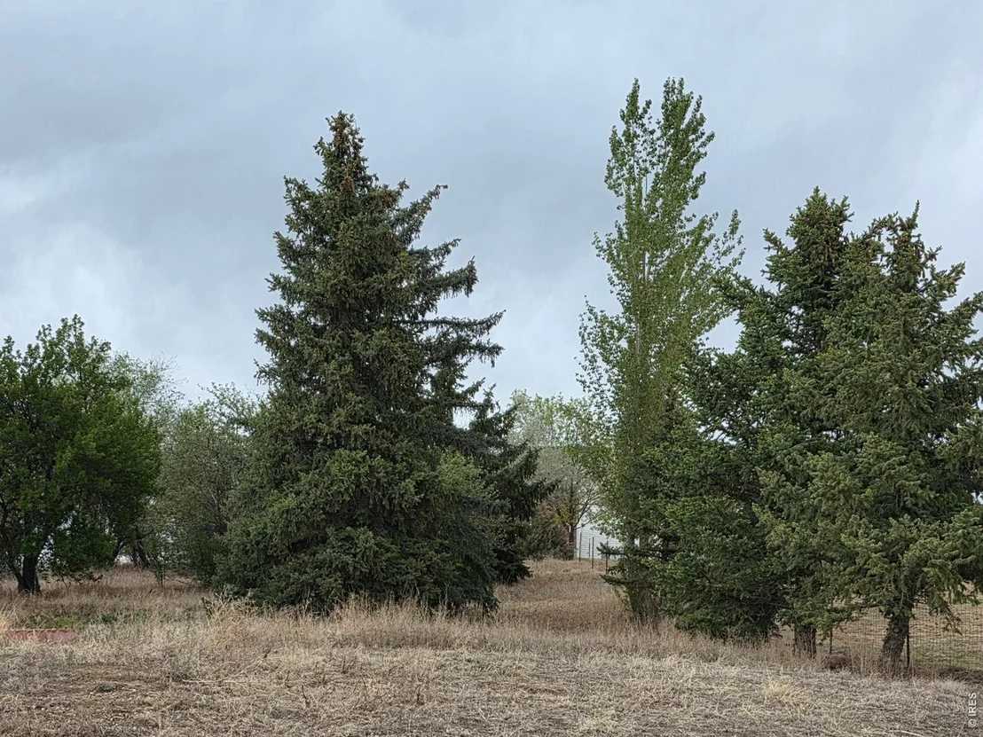 Photo of 20219 County Road 3