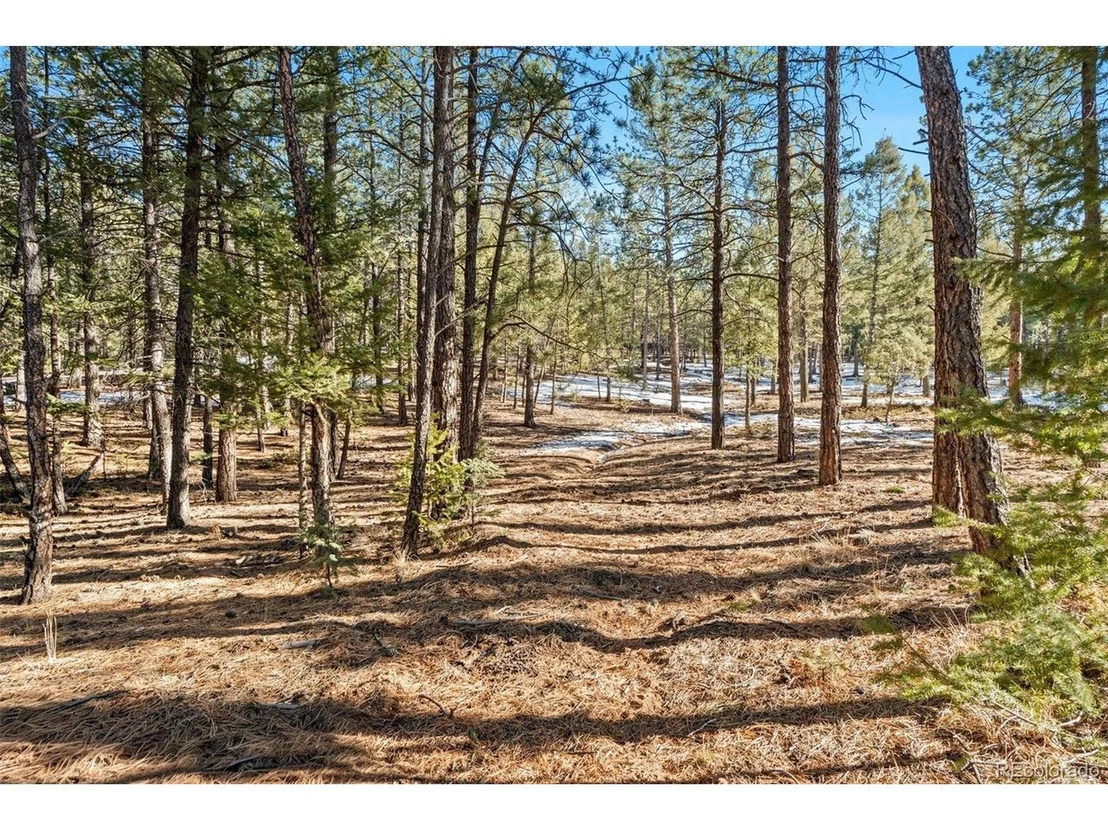 Photo of 186 Territory Dr