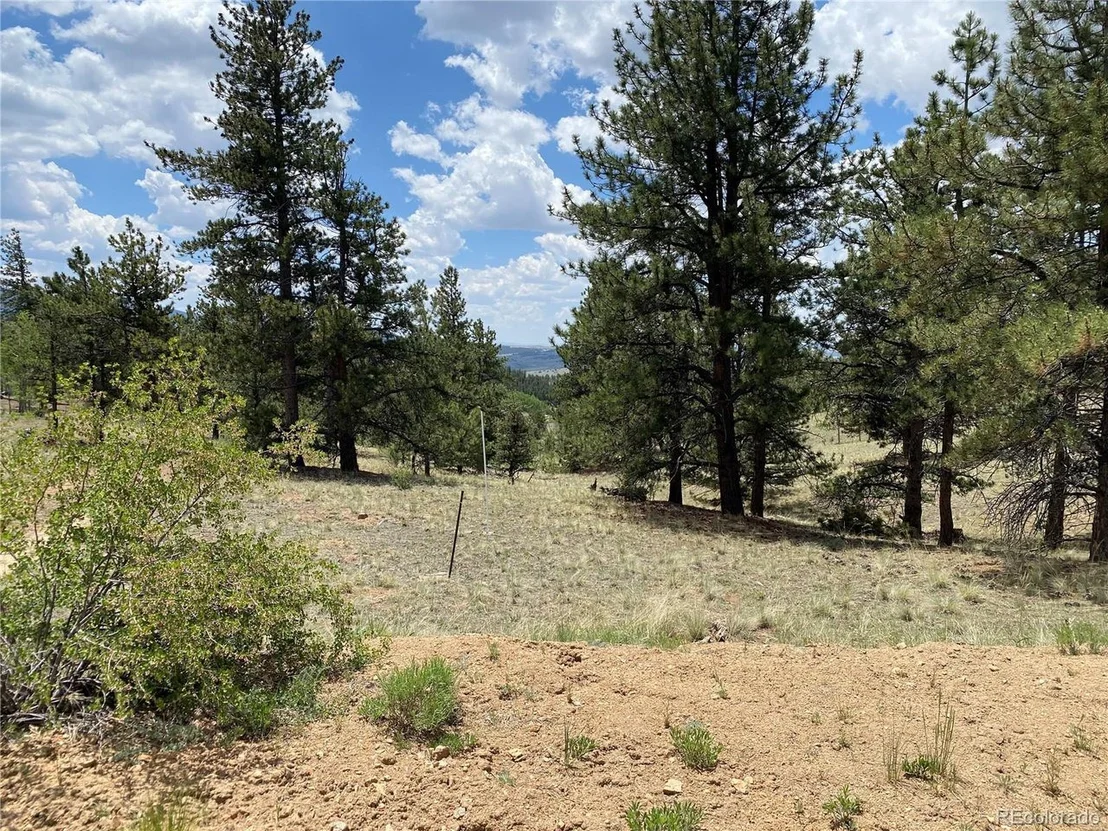 Photo of 73 Rams Run