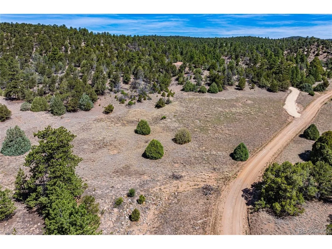 Photo of Arnold Dr