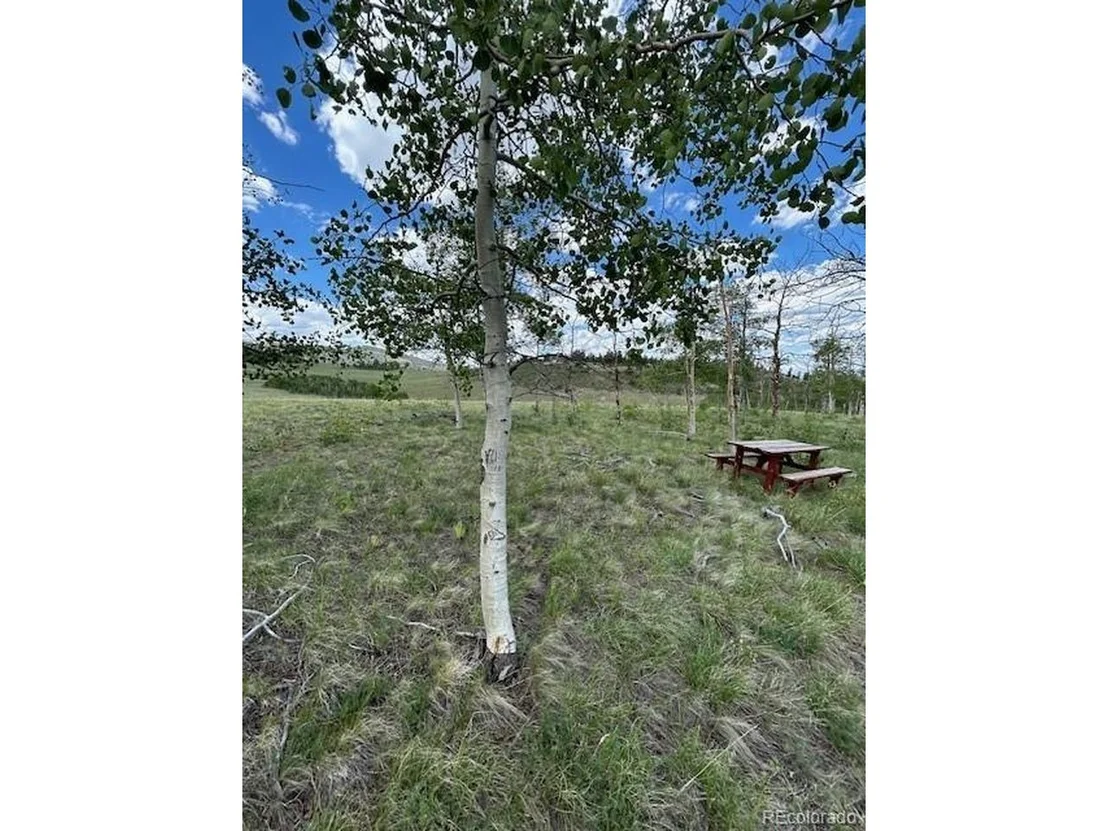 Photo of 807 Bolster Dr