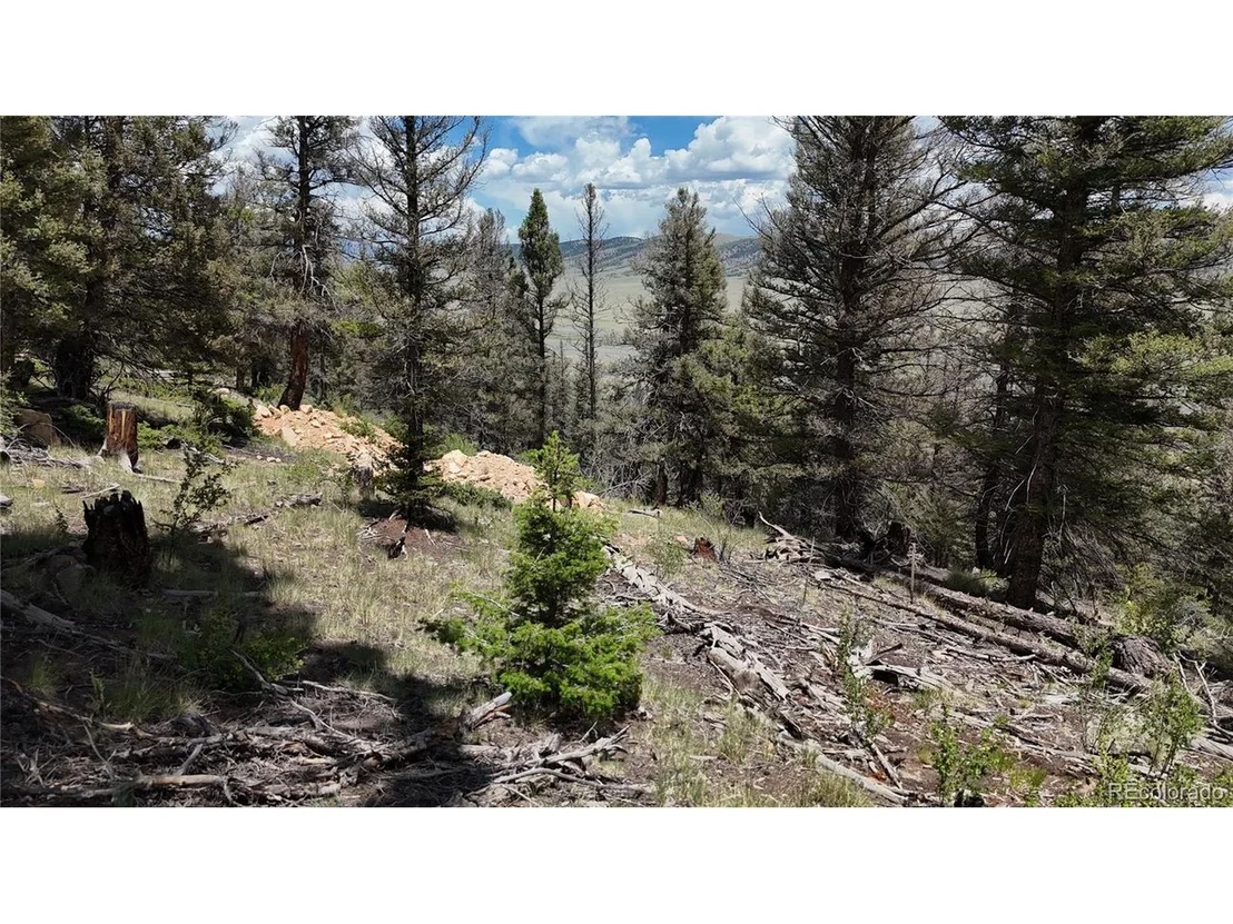 Photo of 1396 Middle Fork Vis