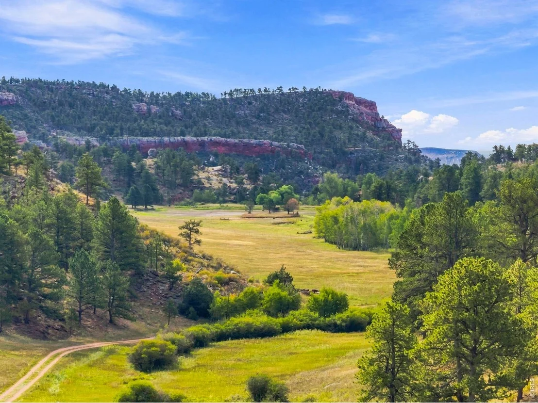 Photo of 557 Red Bluff Rd