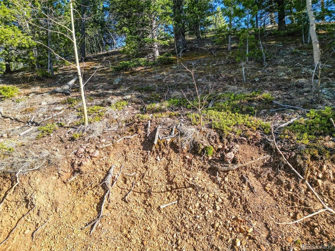 Photo of 272 Wise Rd