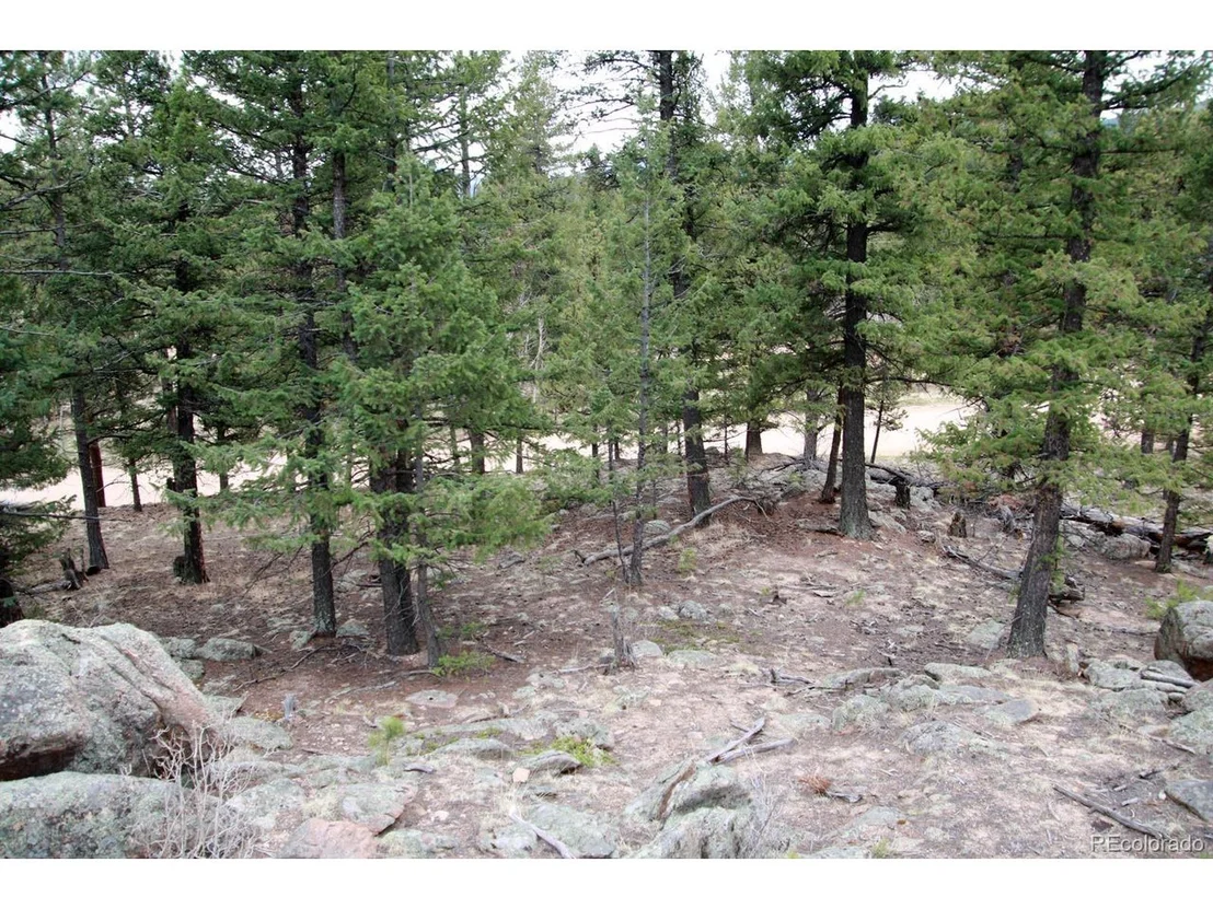 Photo of 449 Forest Dr