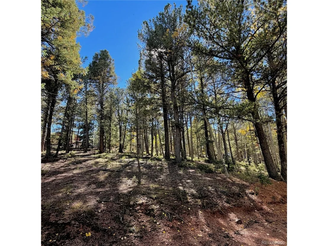 Photo of 800 Timber Ridge Rd