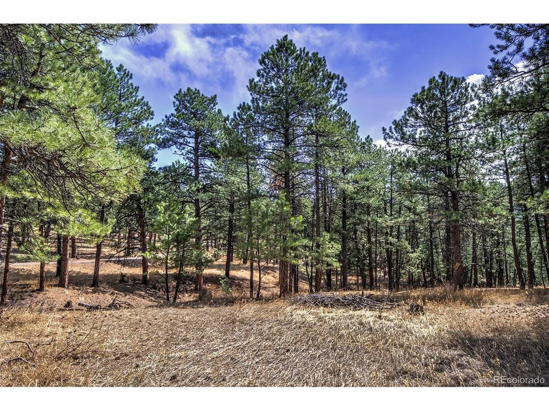 Photo of 27444 Pine Valley Dr