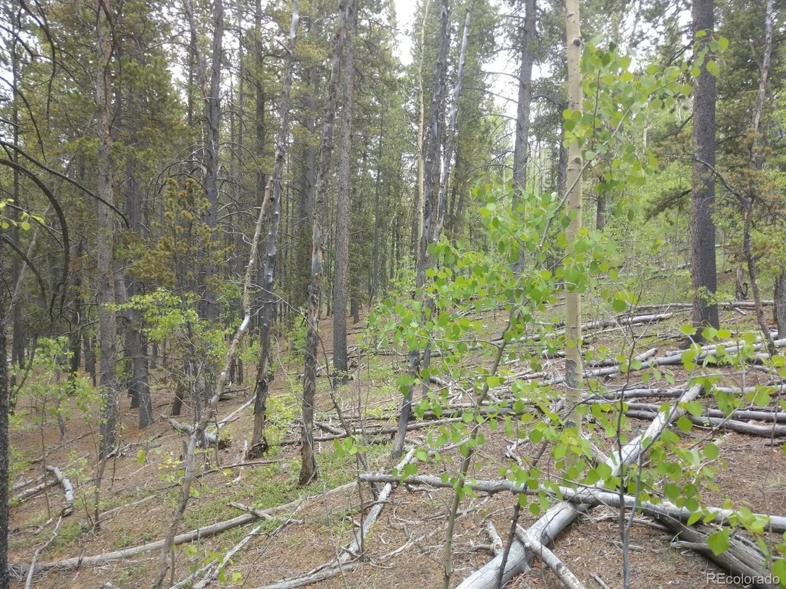Photo of 317 Ski Doo Rd