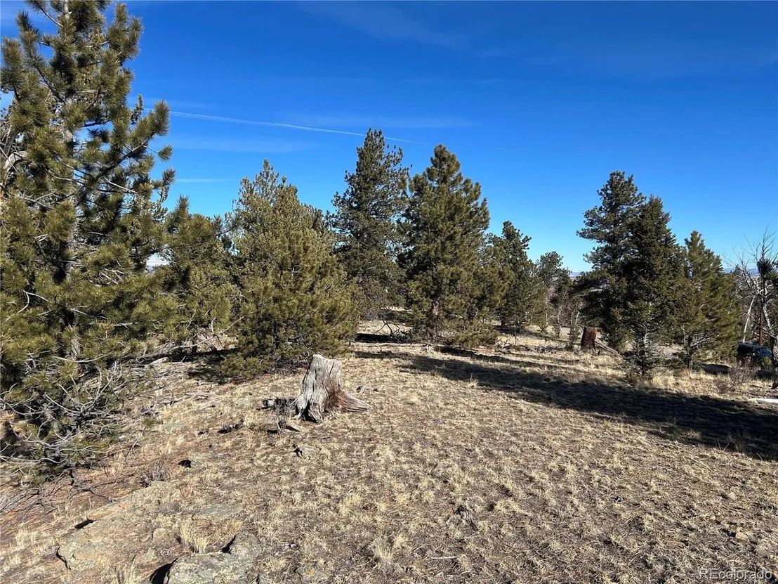 Photo of 3430 Singletree Rd