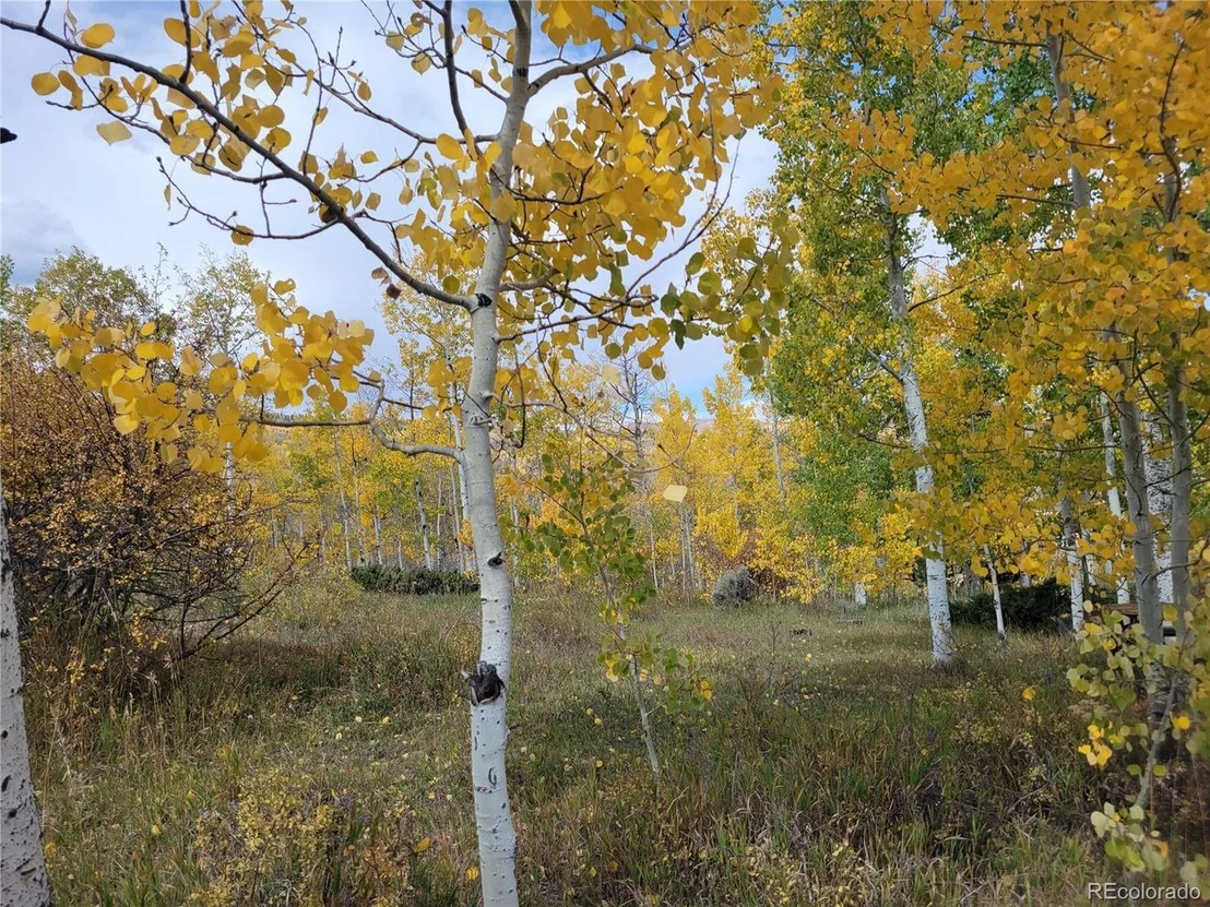 Photo of 1705 County Road 193