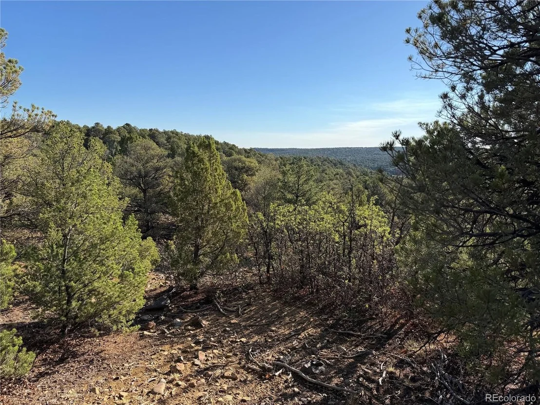 Photo of 141 River Ridge Ranch