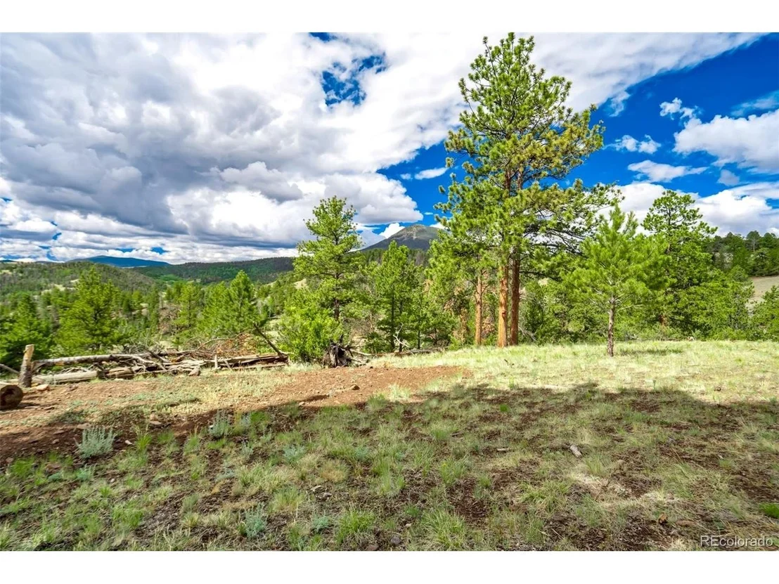Photo of 75 Deer Run