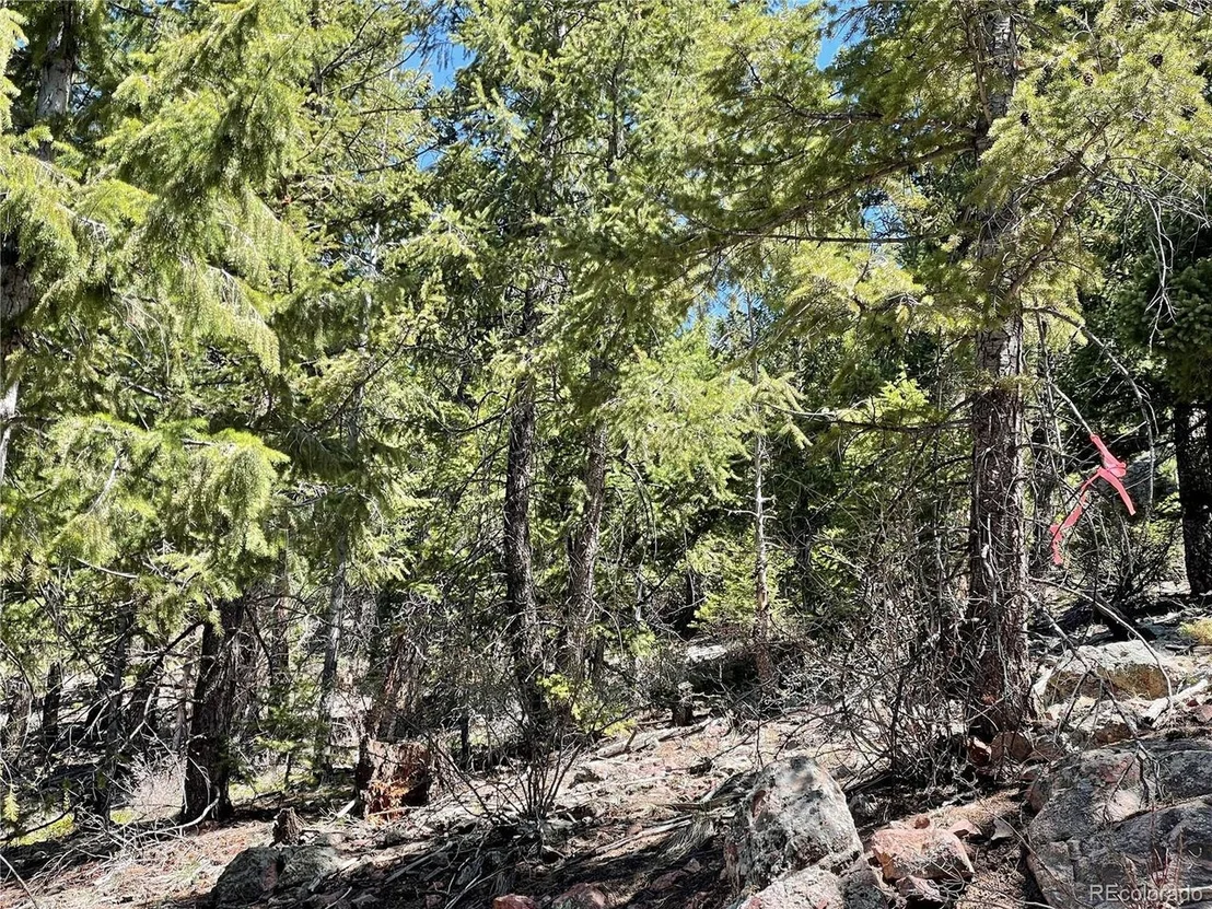 Photo of 33483 Elk Run