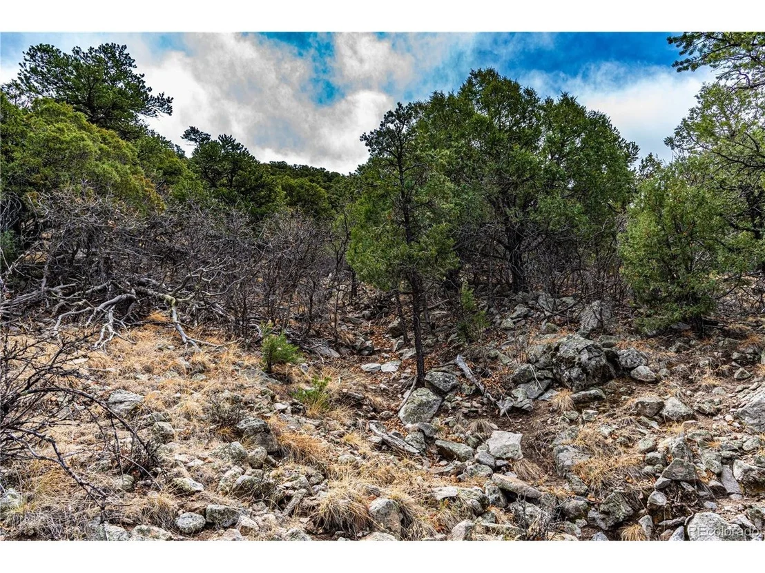 Photo of 2126 E Path