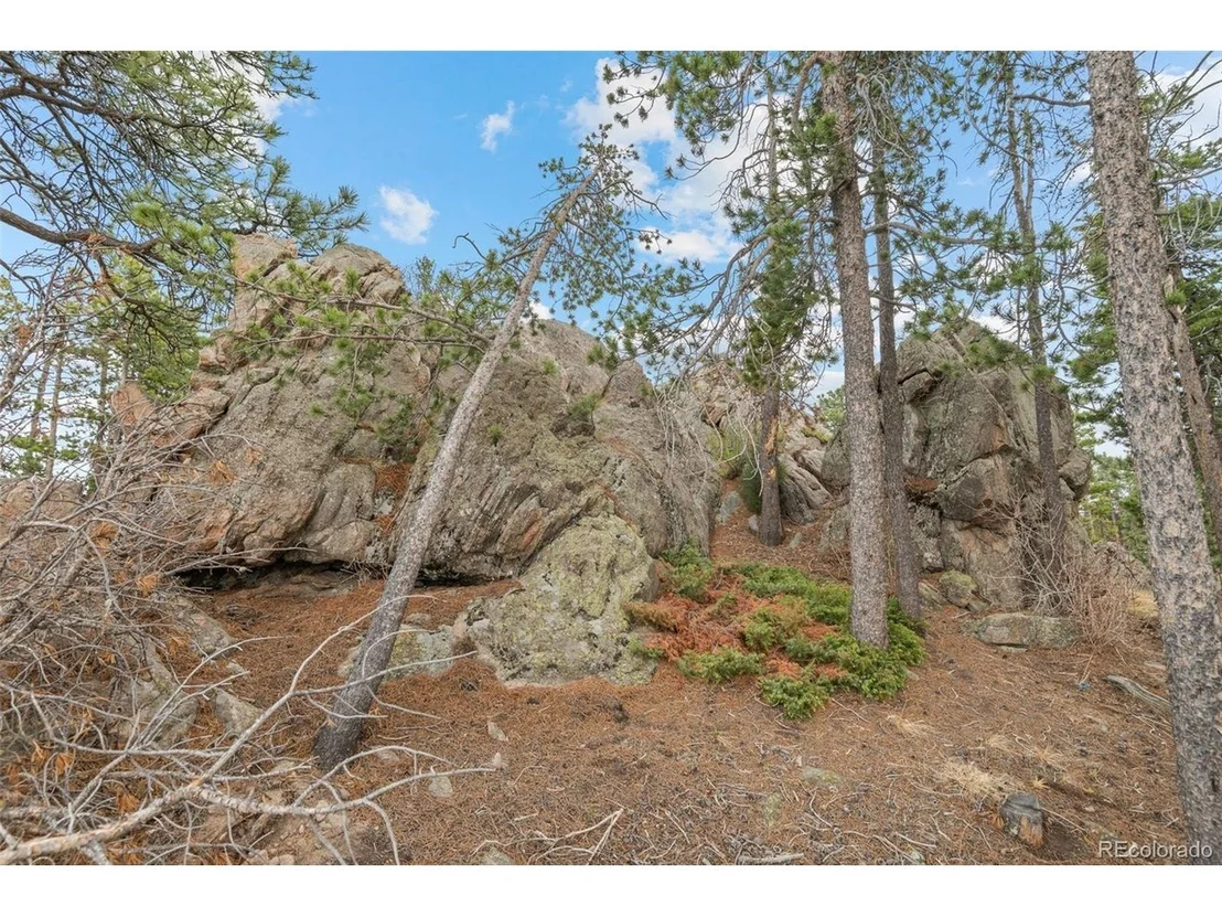 Photo of 10157 Horizon View Dr