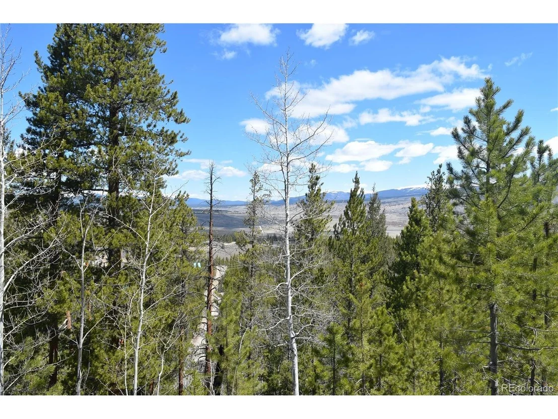 Photo of 483 Mt. Elbert Dr
