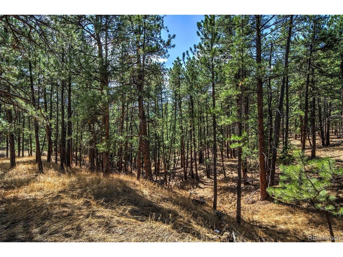 Photo of 27444 Pine Valley Dr