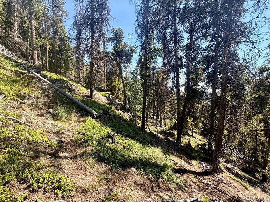 Photo of 0 Lodgepole Cir