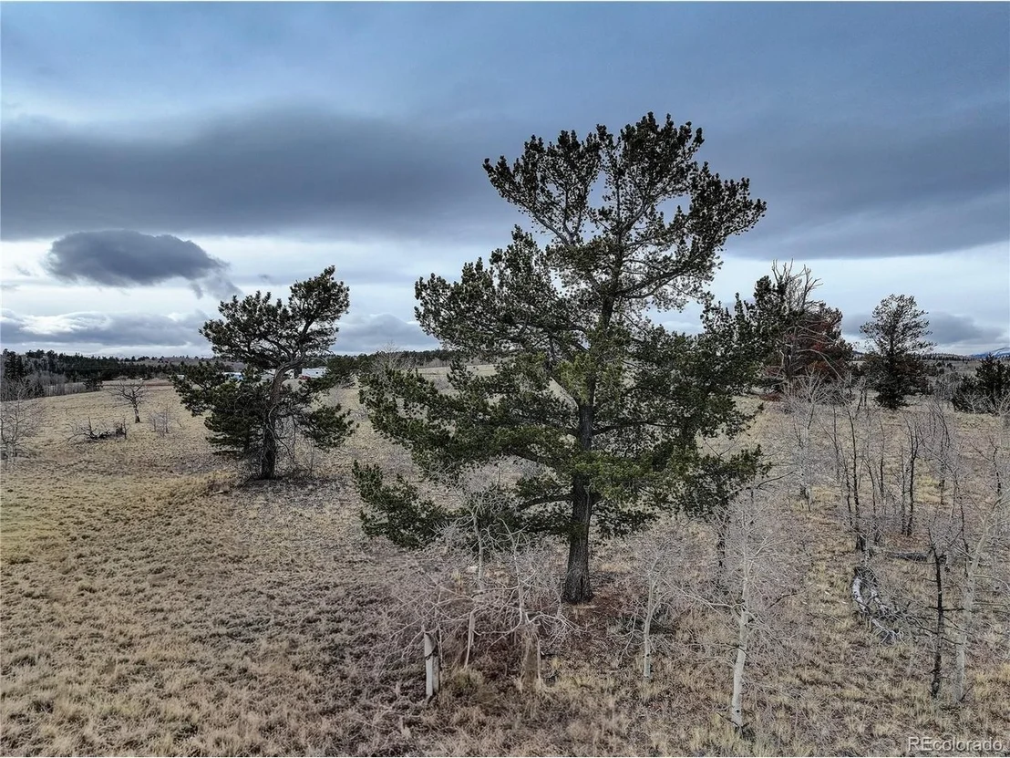 Photo of 111 Antelope Way