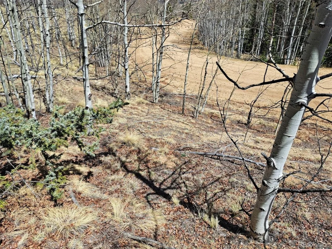Photo of 730 Tepee Trl
