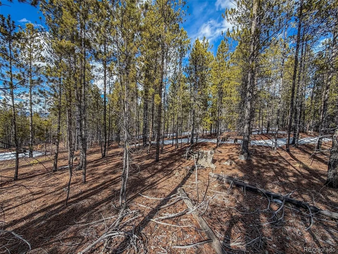 Photo of 483 Mt Massive Rd