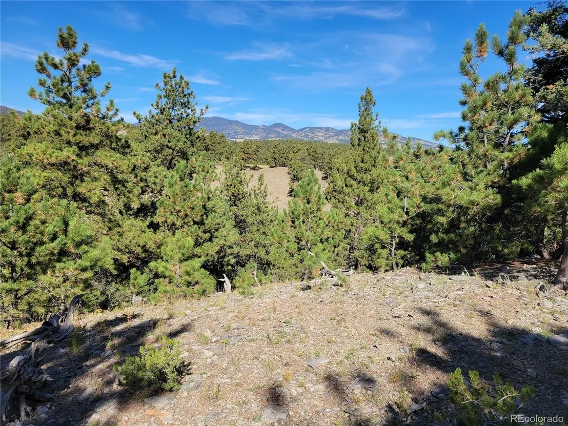 Photo of 1321 Bristlecone Rd
