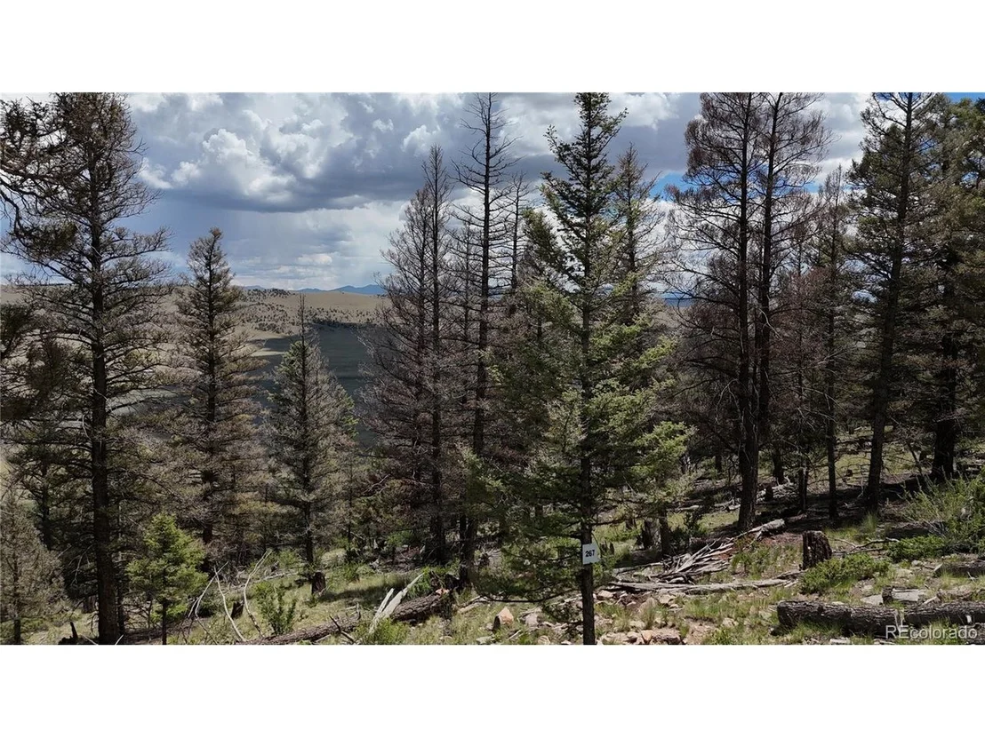 Photo of 1396 Middle Fork Vis