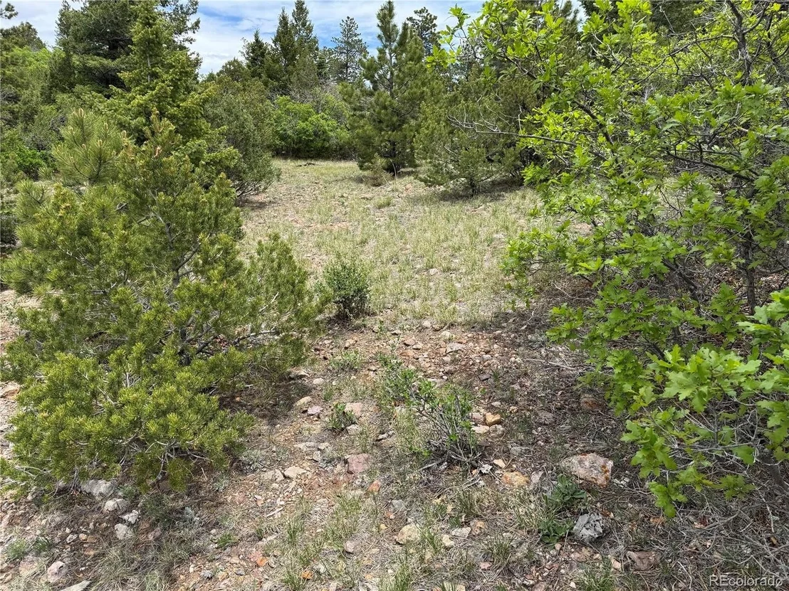 Photo of Knotty Pine Rd