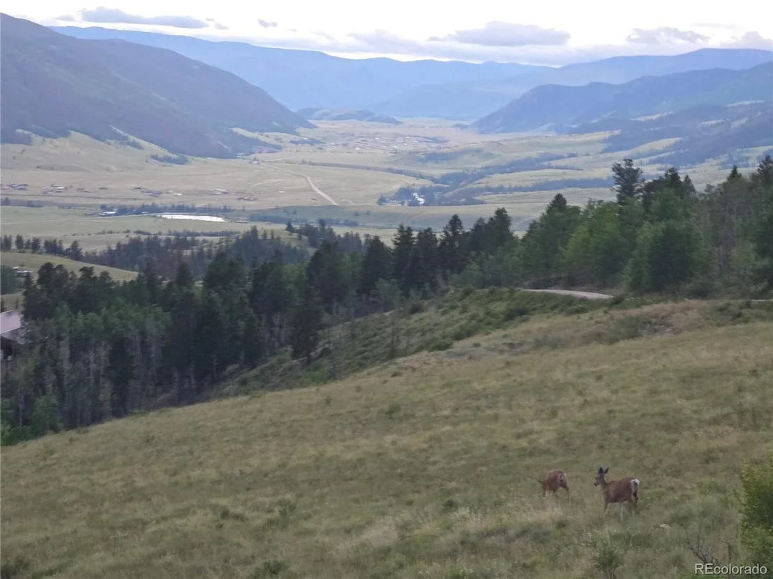 Photo of 487 County Road 504 Bachelor Loop