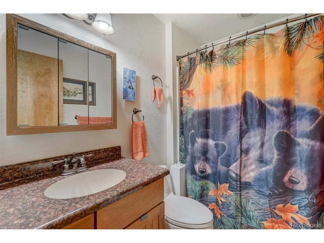 Photo of 453 Castle Mountain Dr