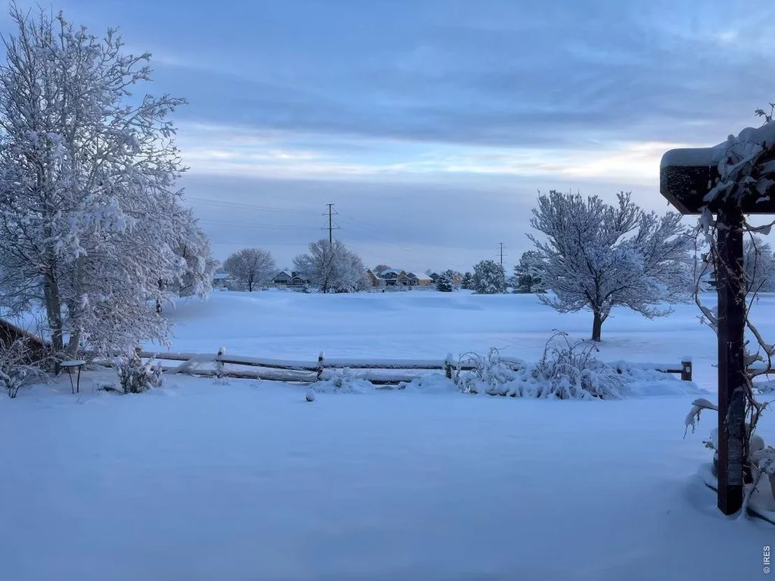 Photo of 2020 Alpine St
