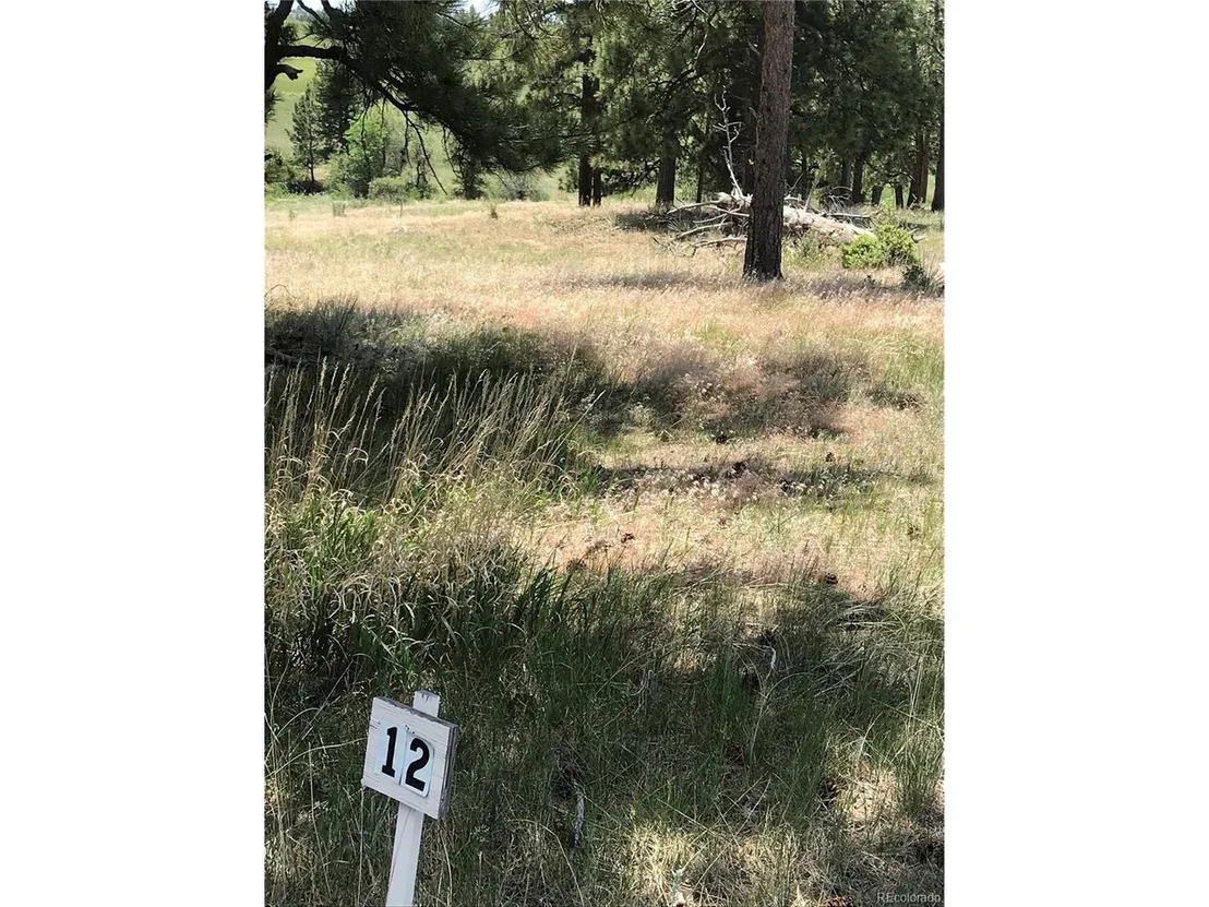 Photo of 10560 Shadow Pines Rd